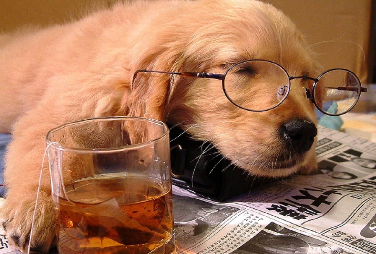 Despite Healthy Diet And Active Lifestyle This Is Why You Feel Tired