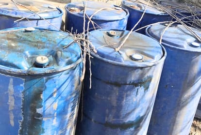 hp govt in planning to legalise cedar oil tapping