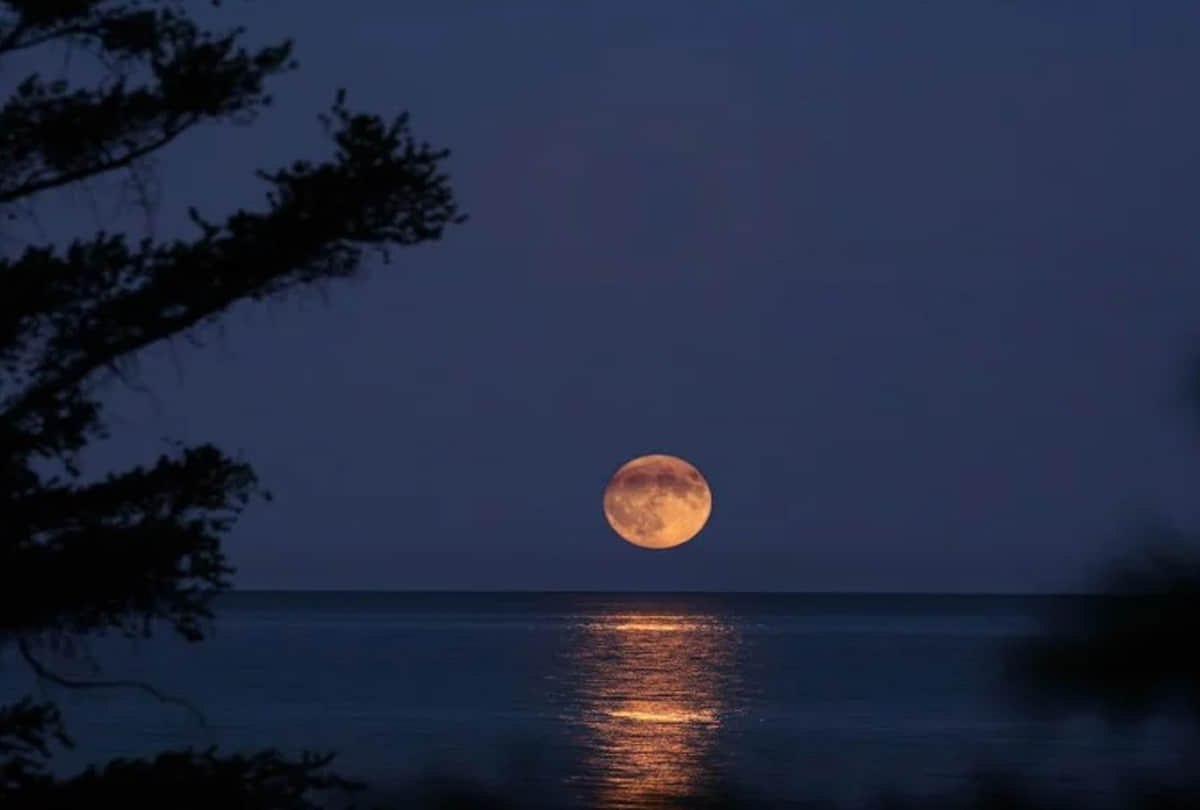 Moon Eclipse 2021: Super Blood Moon At 26 May