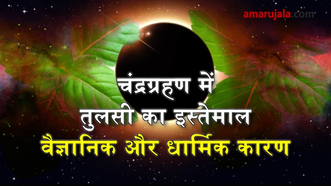 Lunar Eclipse 2018: Why tulsi is put in food during grahan special story