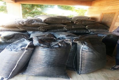 Doda post seized by nacotics buero jodhpur rajasthan