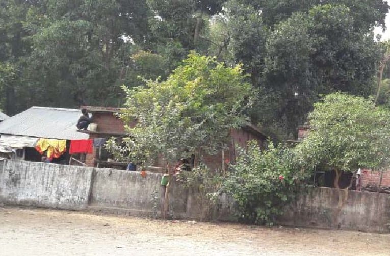 Why tigers entering man living areas?