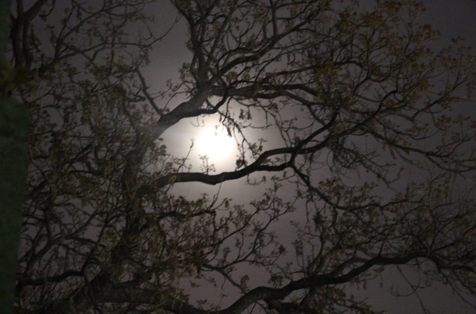 Sharad purnima 2018 trick to relief from diseases and get money