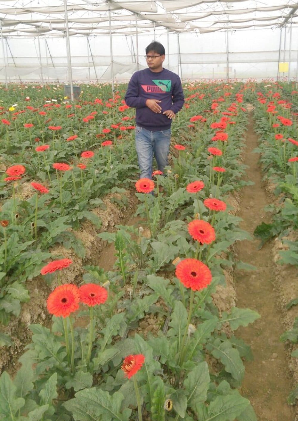 Hosalyanand's freshly 'fragrance' reached Cm