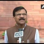संजय राउत, शिवसेना सांसद
