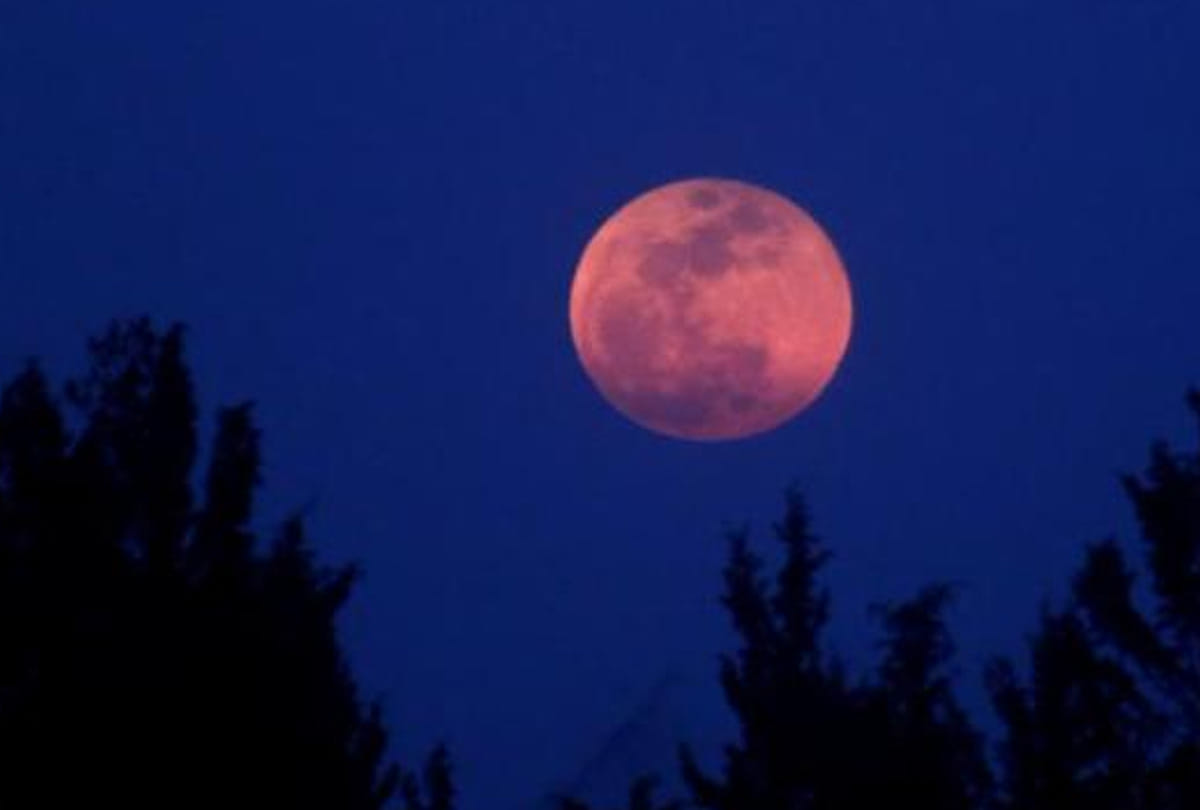 buddha purnima 2018 avoid problems follow these tips on vaishakh purnima