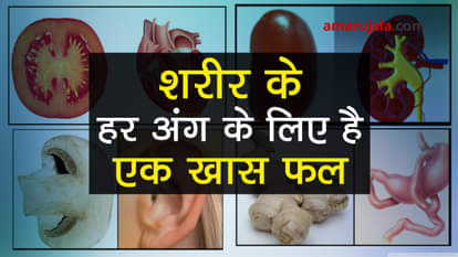 foods which looks like our body parts special story
