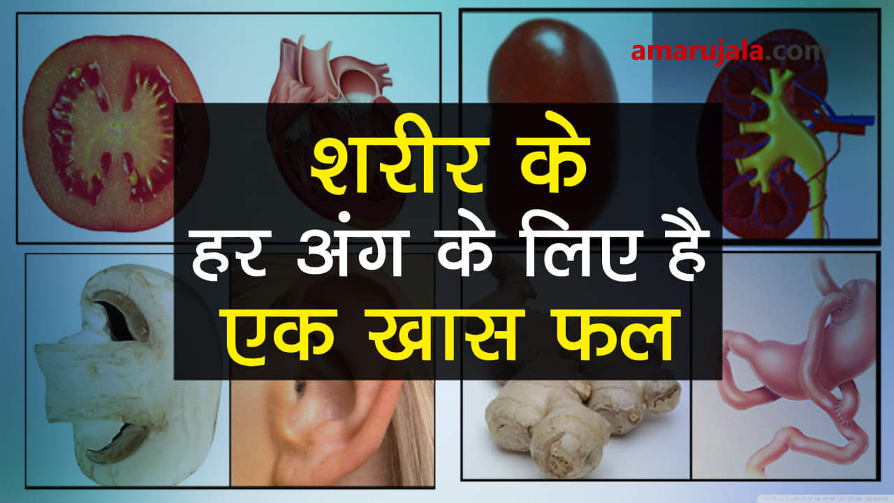 प्रतीकात्मक तस्वीर