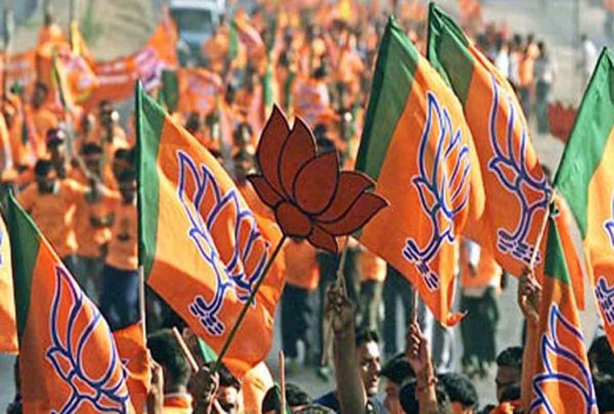 bjp strategy for 2019 lok sabha election