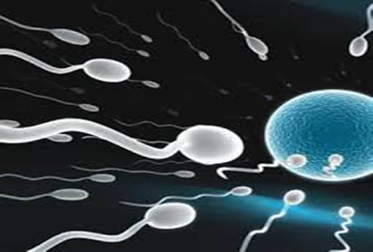 My Wife Doesn't Like Our Baby Return To Sperm Donors Husband Wants Divorce