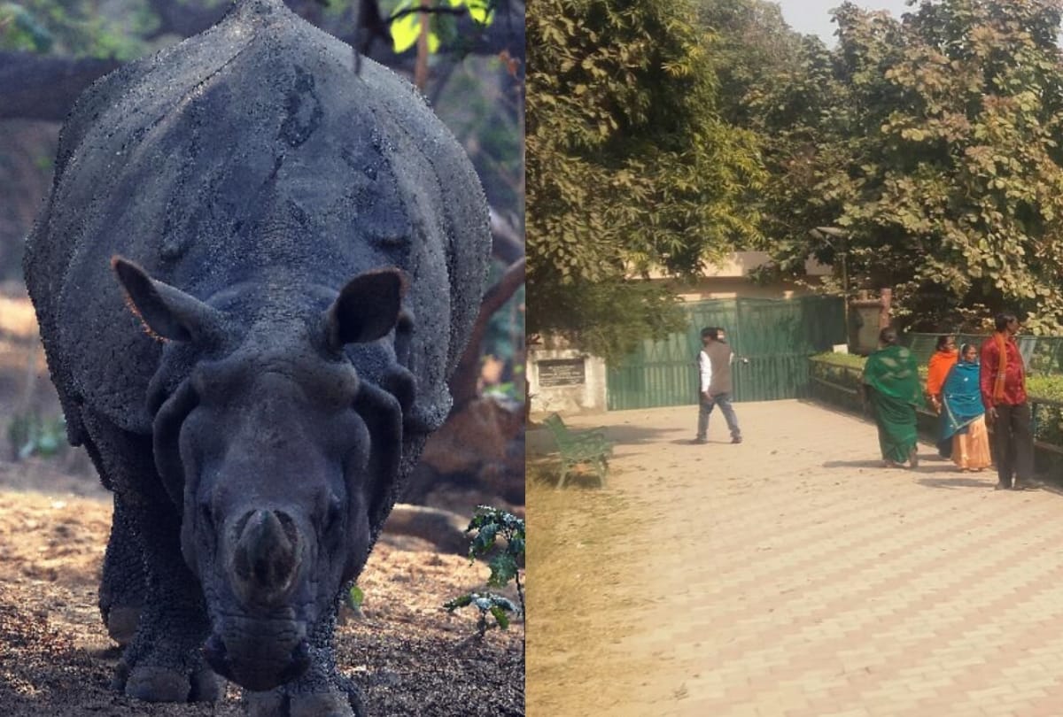 only Rhinoceros of lucknow zoo died on friday