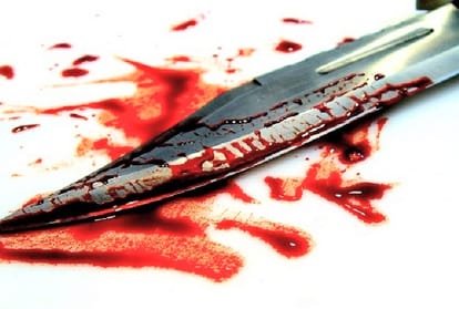 two person murdered at shoghi shimla for money