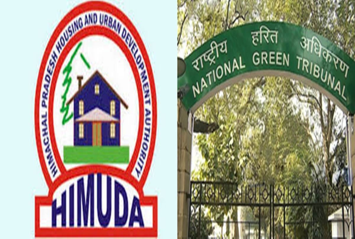 Himachal pradesh Government will file review petition on NGT decision
