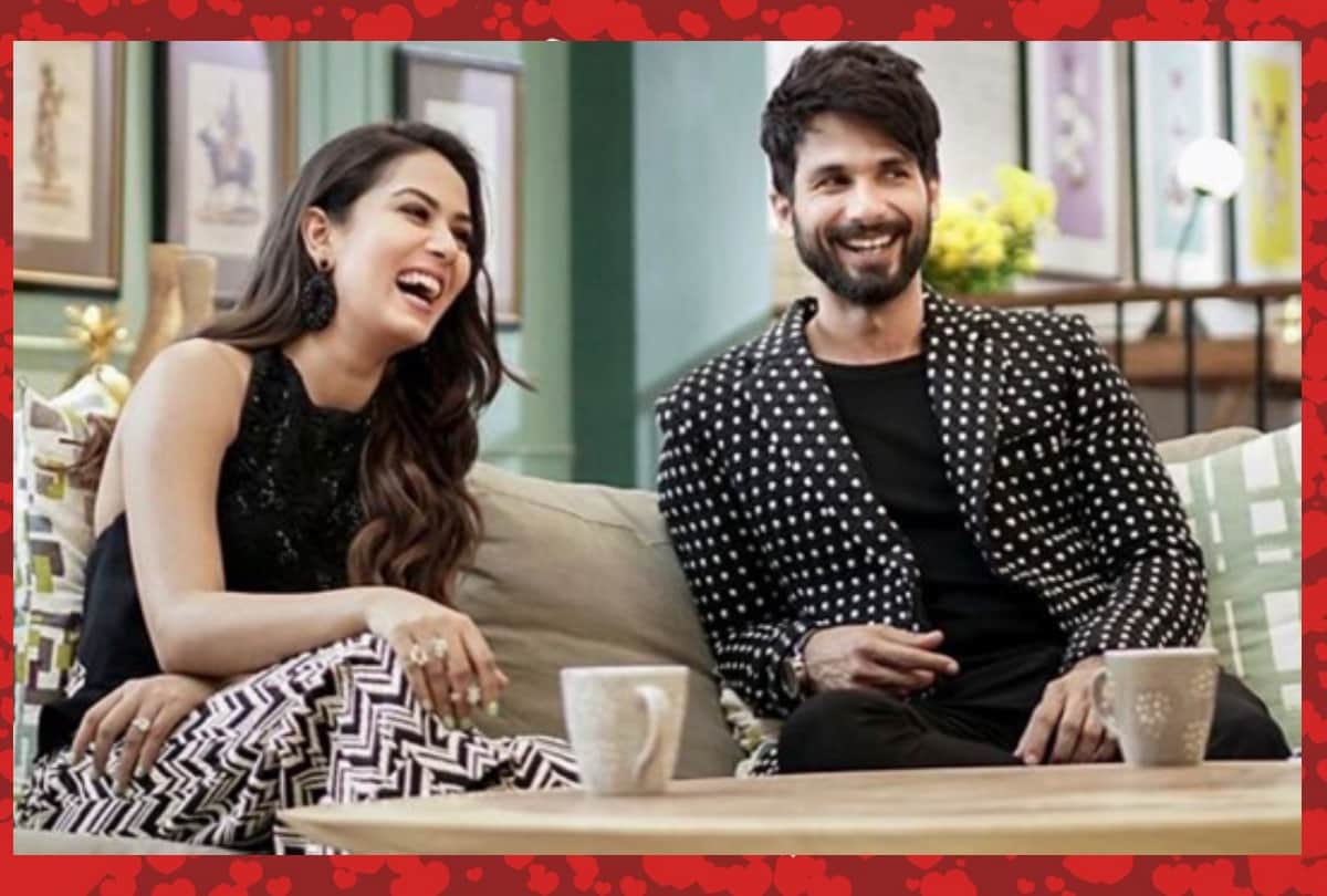 valentine's day special : 8 facts about meera rajput and shahid kapoor