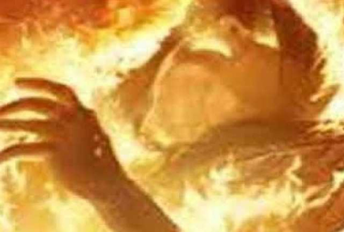 girl tried to commit suicide in front of cm yogi house 
