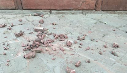 monkeys broke stone railing in taj mahal 