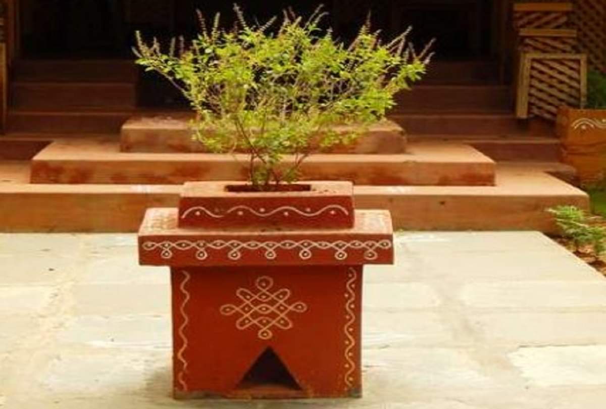 according to vastu do not pick or touch tulsi leaves on these days