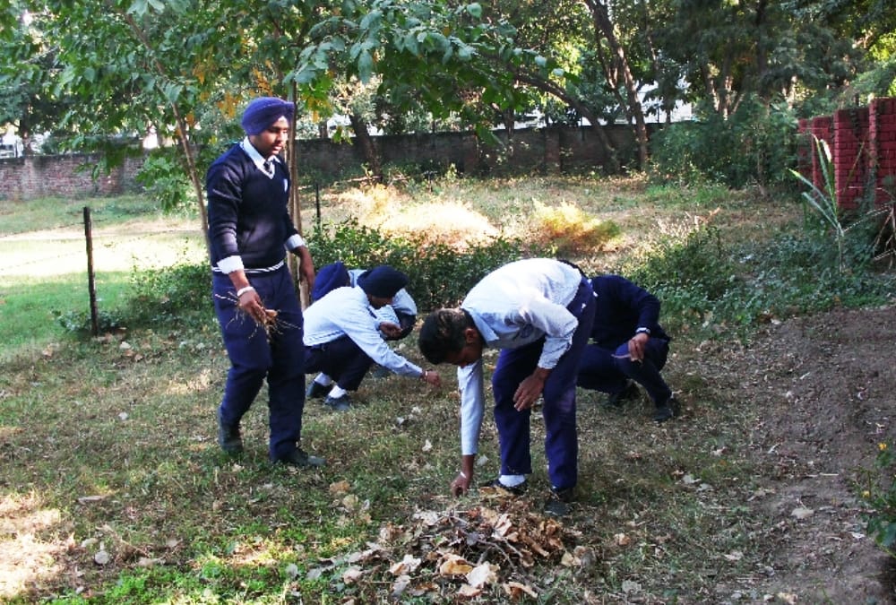 Composting with leaves, preparing in government school