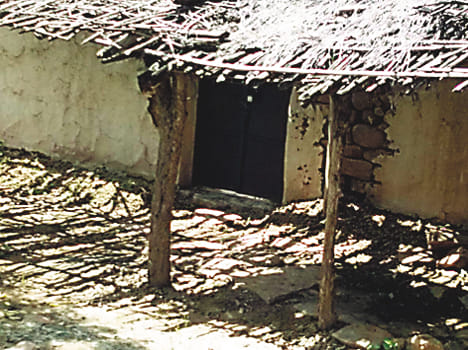 Search campaign continues in search of survivors