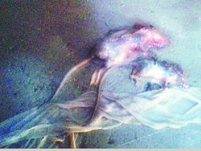 पेयजल स्टोरेज टैंक में मिले मरे हुए चूहे और पक्षी