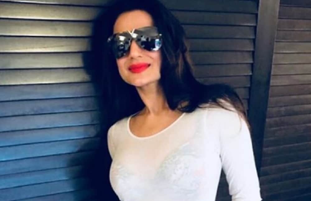 ameesha patel trolled for sharing her transparent top picture on instagram