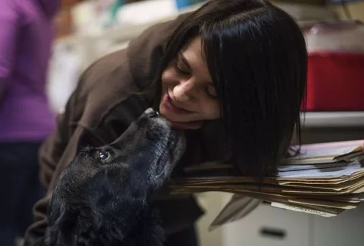 missing dog Abby returns home after 10 years