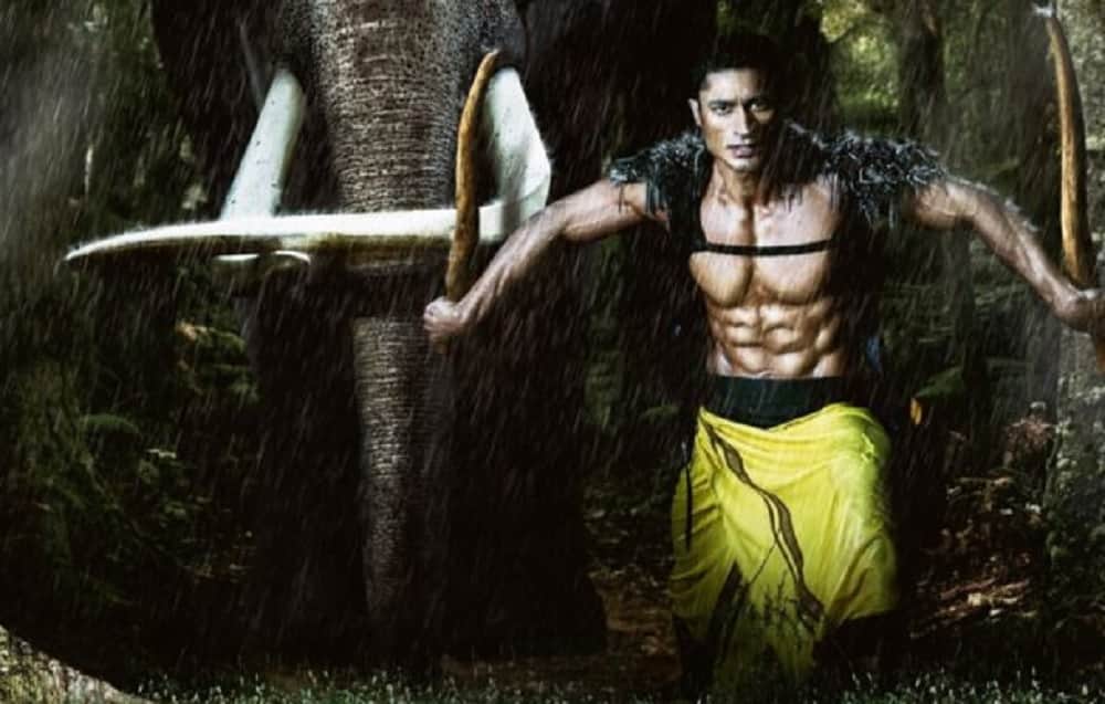 kesari junglee and notebook movie box office collection