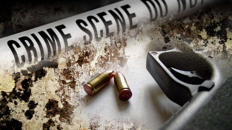 the young man shot his brother dead in agra 