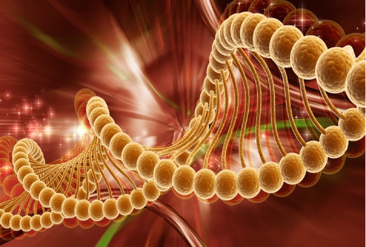 Cancer can be treated, Scientists in Germany recognize special mutations in genetic code of tumors