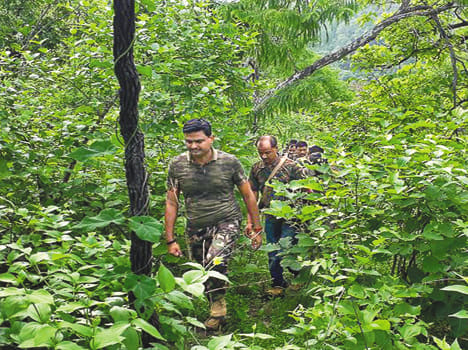 In the wilderness, the search campaign, warned the helpers