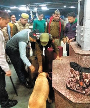 Struggle with information about bomb in Mumbai Route train
