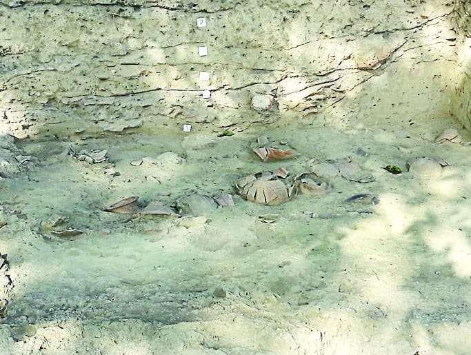 excavation remains of bones found 