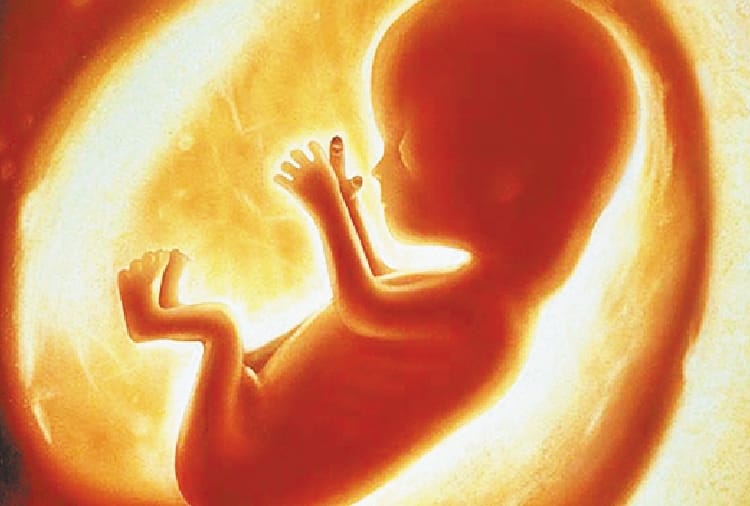 administration will honoured employees in fetus gender investigation case