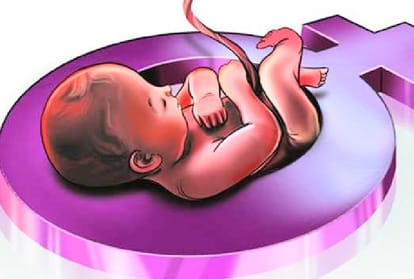 administration will honoured employees in fetus gender investigation case