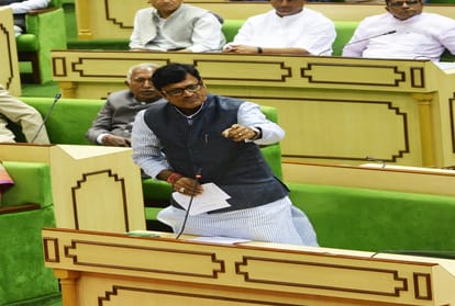 bjp mla rajasthan allege own government  in assembly 