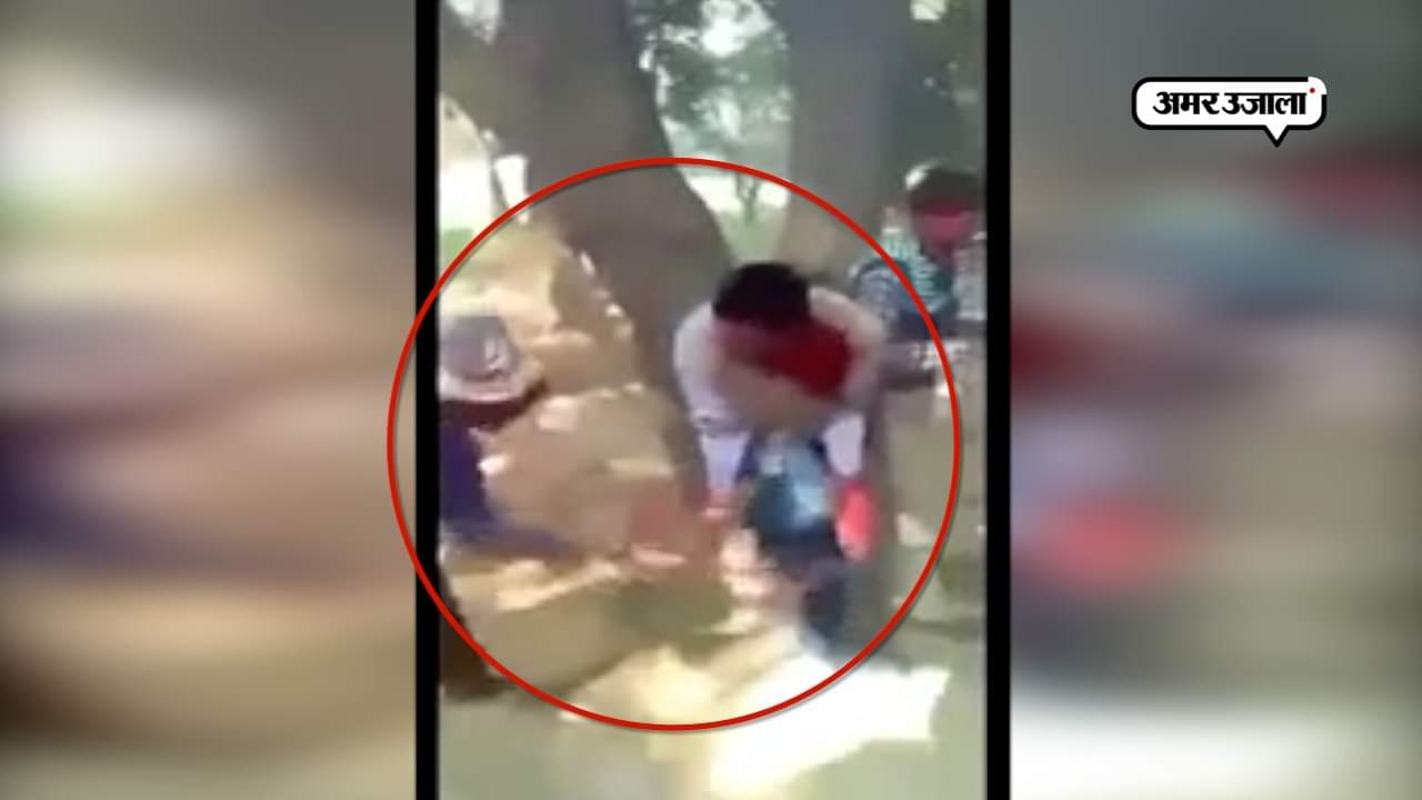 वायरल वीडियो 