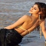 bollywood news