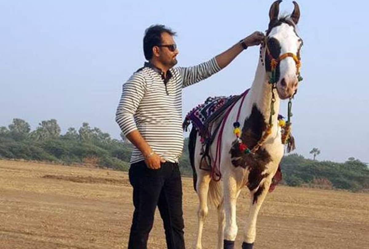 salman khan offer 2 crore rupee for rare breed horse saqab his owner rejected