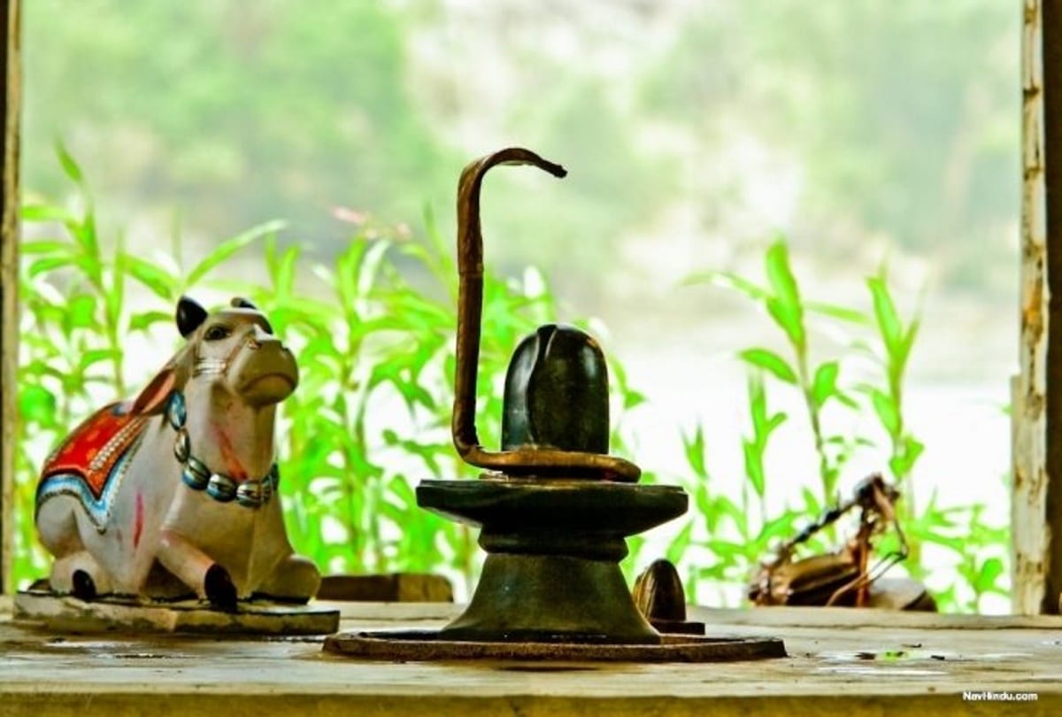 according to horoscope offer these things on maha shivratri festival