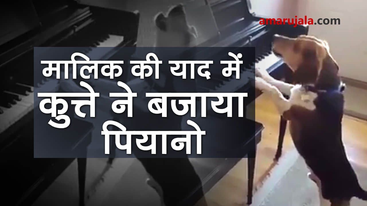 प्रतीकात्मक तस्वीर