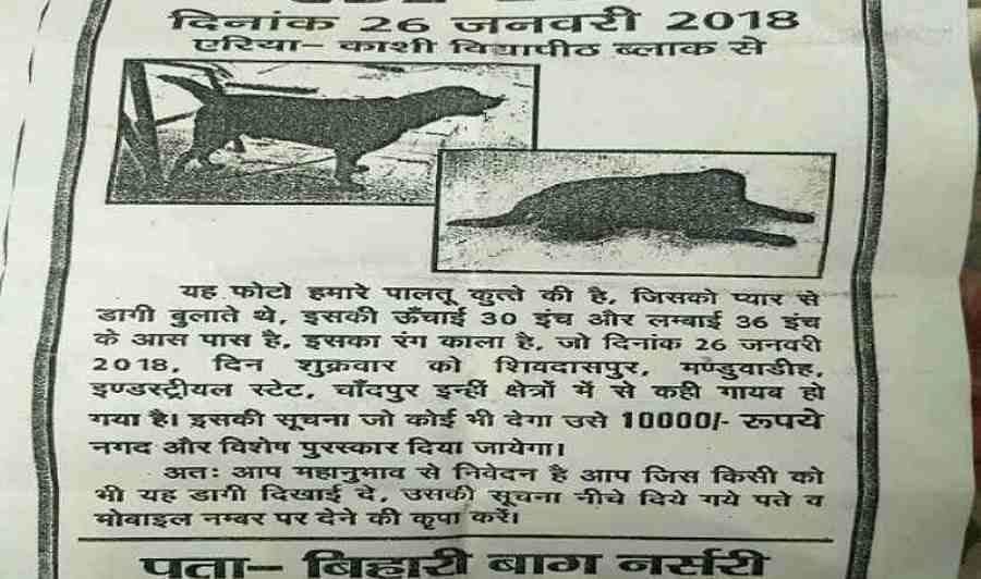 Missing Dog case registered in police station at varanasi