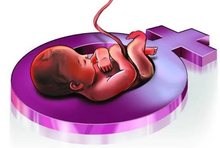 doctor not authorized for ultrasound in fetus gender investigation case
