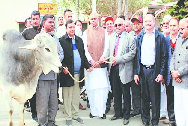 ministers and vice chancellors of himachal visited natural agriculture farm at gurukul