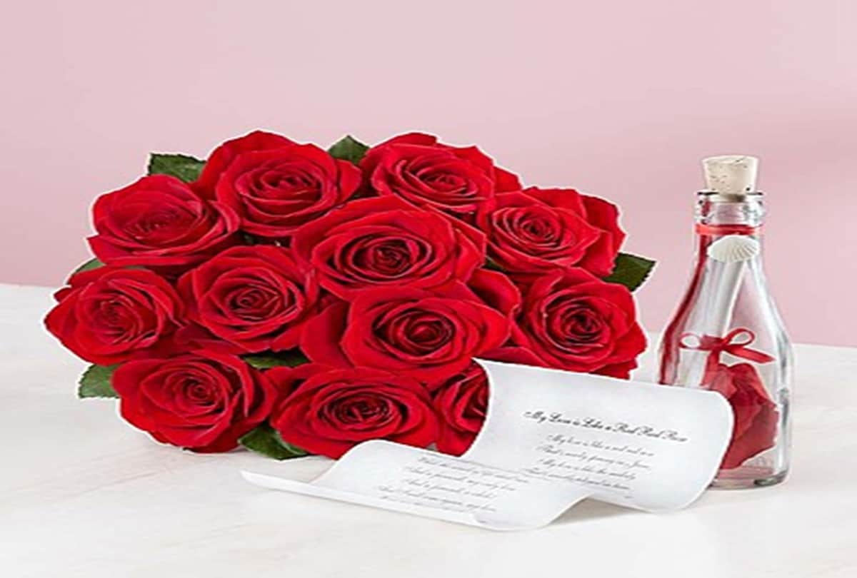 Happy Rose day Images 2018 Valentines week started with rose day