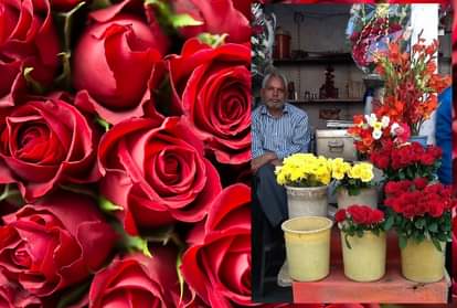Rose Day 2018- buy a rose today otherwise you have to pay more 