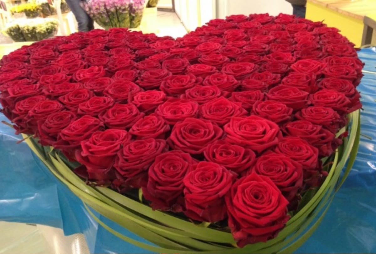 Valentine Week Special: Rose Day 2019 today, know how different color of roses represent love
