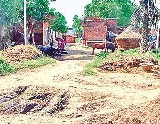 Survey of 45 villages in district