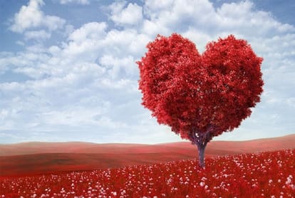 Valentine day reasons of love starting in human