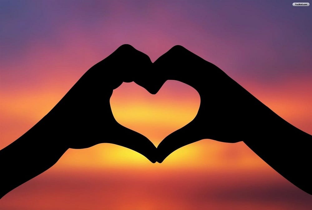Valentine day reasons of love starting in human