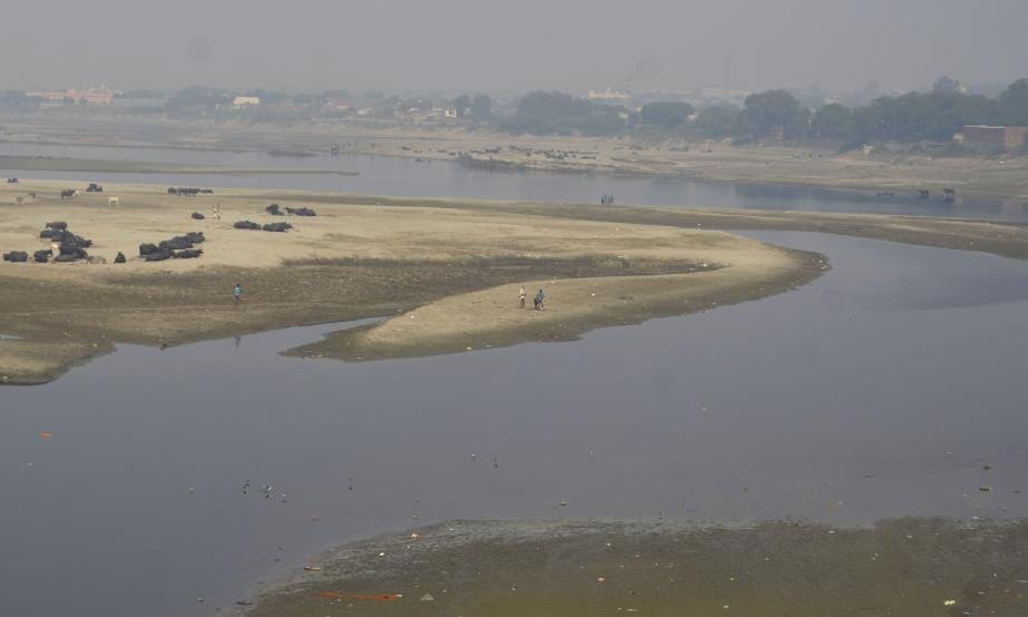 pollution increased in yamuna river